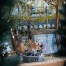 다온까페 이미지