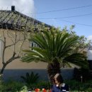 명월성 돌담집 이미지