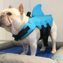 뚜루하우스 이미지