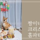 짱이네새참 이미지