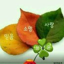 소망사랑 네이버블로그