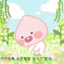 유코치의 슬림해짐 이미지