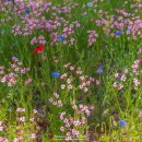 정동1교 이미지