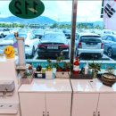 울산북구모터스 이미지