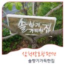 솔향기가득한집 이미지