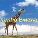 하쿠나마타타 이미지