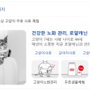 로얄코리아 | 로얄캐닌코리아 면접 후기