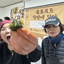한국슬로푸드 이미지