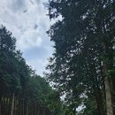 석성석성보건진료소 이미지