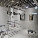 늘푸른약품 이미지