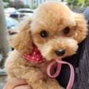 인물나개 이미지