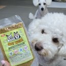 홍천 개아빠 이미지