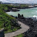 여인상민박 | 제주 겨울 바다 산책로 추천: 한담해안길 완벽 가이드 | 힐링 여행