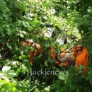 서천소방서-70 이미지