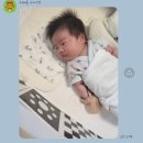 [24/6 ~ 24/12] 오랜만에