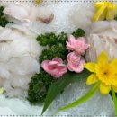 외포회집 이미지