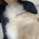 서울칼라１사진관 이미지