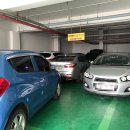 송정 미연 이미지