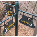 휴양림약수 이미지