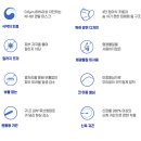 프로덴탈 이미지