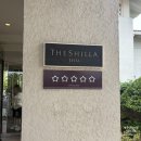 신라탕 | 제주 신라호텔 더파크뷰 중식 뷔페 내돈내산 솔직 후기