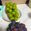 해찬농장 이미지