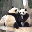 신창 리 하우스 | 블로그 1년 포스팅 기록) 앞으로는 매주 3 포스팅하기 도전