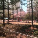 로이스어린이집 이미지