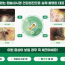 하남숲동물병원 이미지