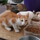 라이앤미 이미지