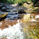 지리산펜션 이미지