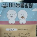BB 동물병원 이미지