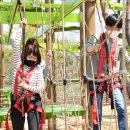 스카이21 이미지