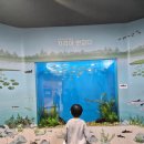 자연생태공원 나비표본전시관2층 | 부천 아이랑 가볼만한 실내 _ 부천자연생태공원 무료입장, 주차 , 파충류, 공룡