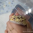 한성동물병원 이미지