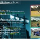 수원-0659 Daum카페