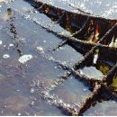 일종수산 이미지