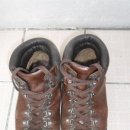 회덕2세천 이미지