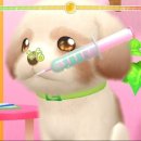 멍냥동물병원 이미지