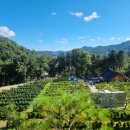 반송목장 이미지