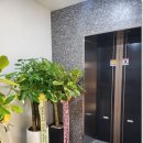 믿음플란트치과의원 이미지