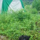 에덴농장 2 이미지