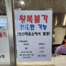 상서돌담마을 | 2025 완도 청산도 슬로 걷기 축제 기본 정보 및 후기