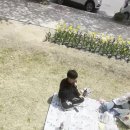 송무원 Daum카페