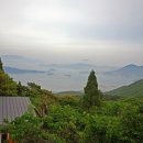 완도수목원 이미지