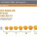 나영농장 이미지