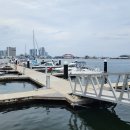 핸드프린팅 조형물 | 2년 만에 간 속초, 청초호유원지에서 우연히 만난 이은미 핸드프린팅