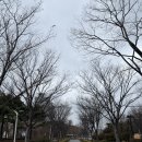 원조던지기탕 | 밥 든든히 먹고 당당히 나아가자-