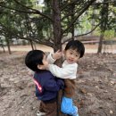 머리꾸미기 이미지