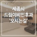 세종드림빌딩 네이버블로그